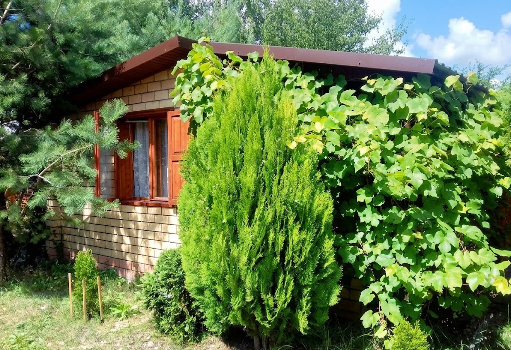 Садиба «У дяді Міши» Світязь