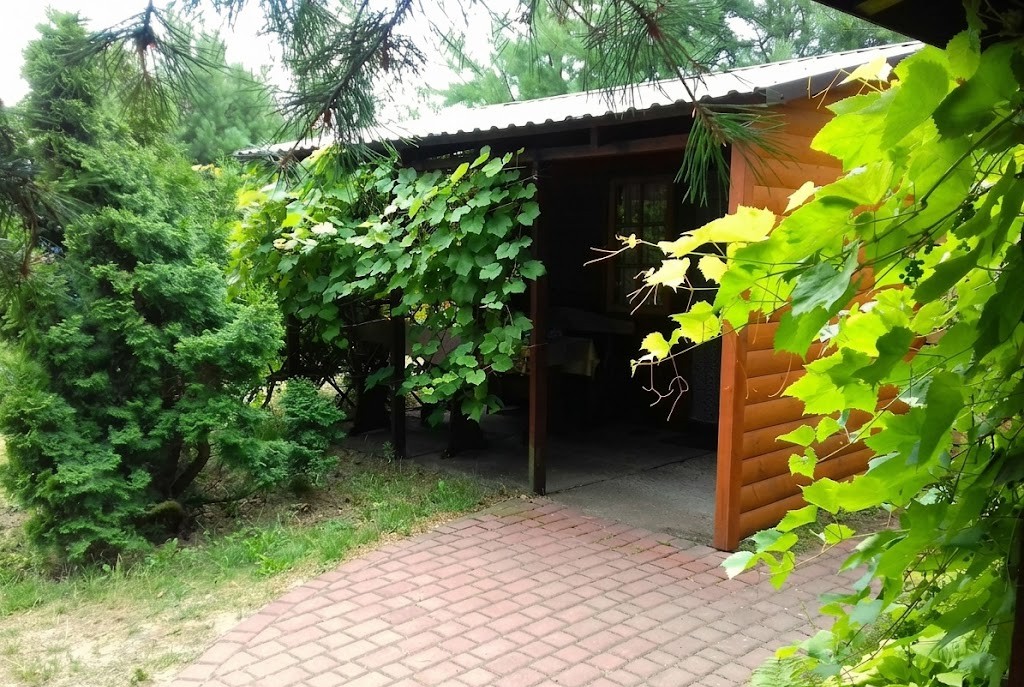 Садиба «У дяді Міши» Світязь