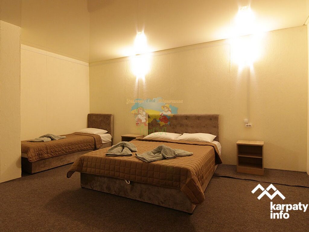 Готель AQUA DION Солотвино