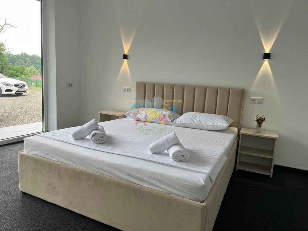 База відпочинку Альянс Солотвино