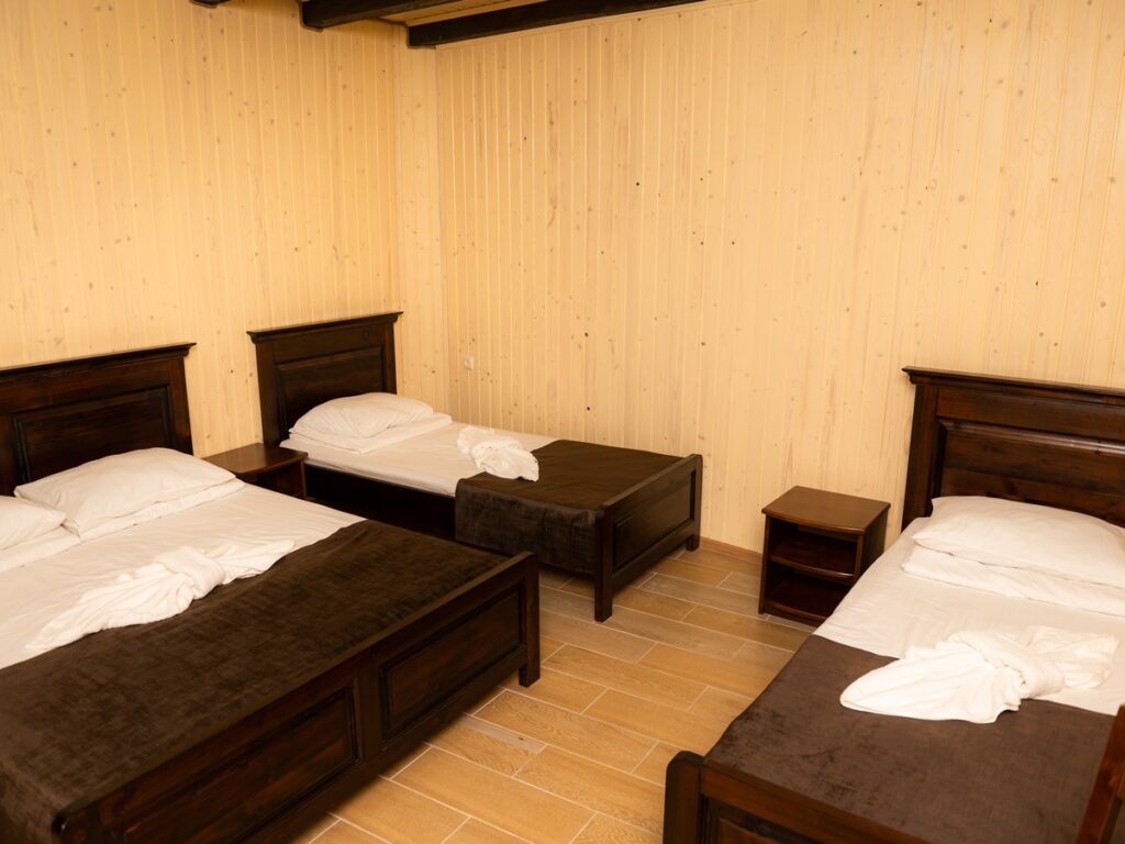 База відпочинку Anion Солотвино