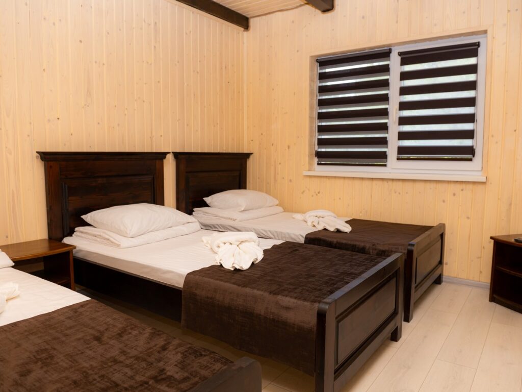 База відпочинку Anion Солотвино