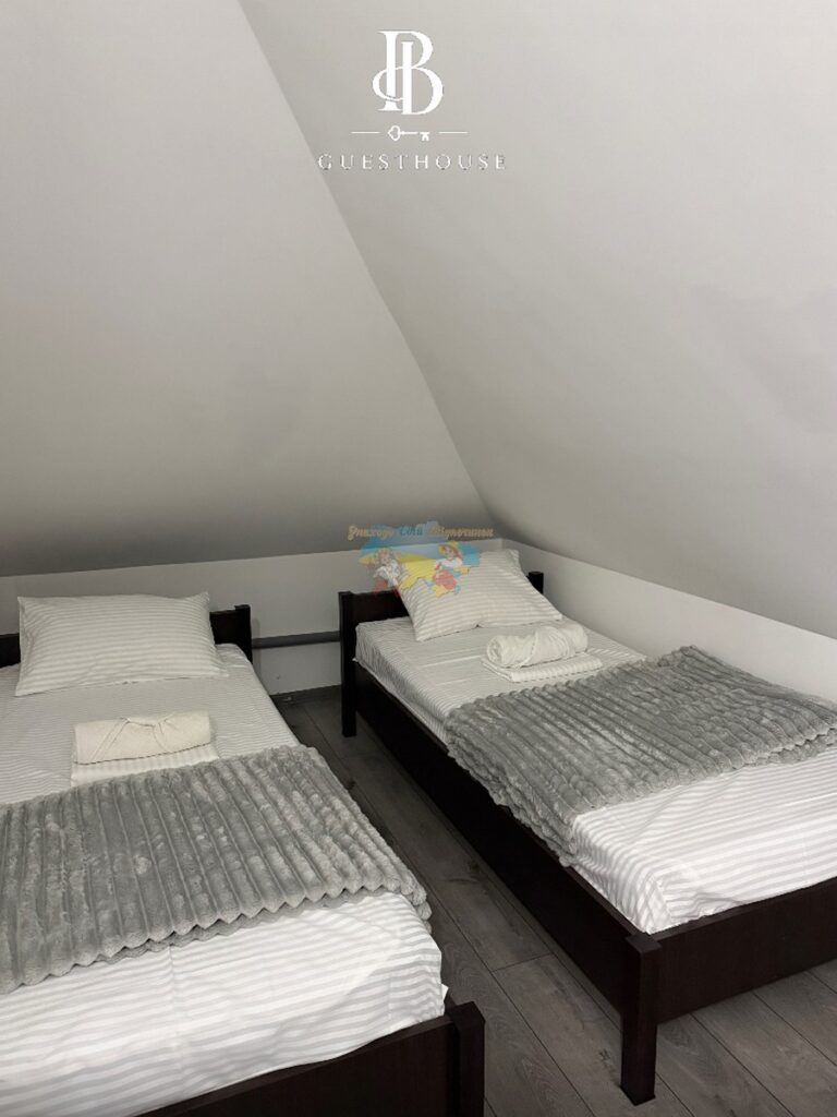 Гостьовий будинок в Солотвино B_Guesthouse