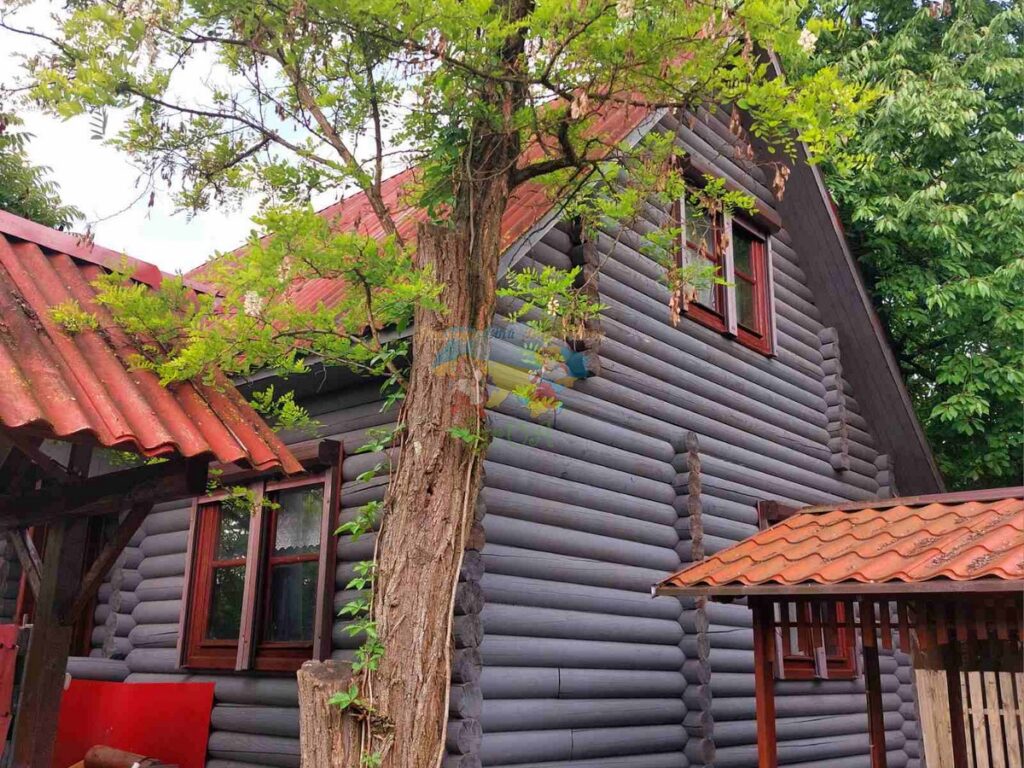 Котеджі Барбара Солотвино