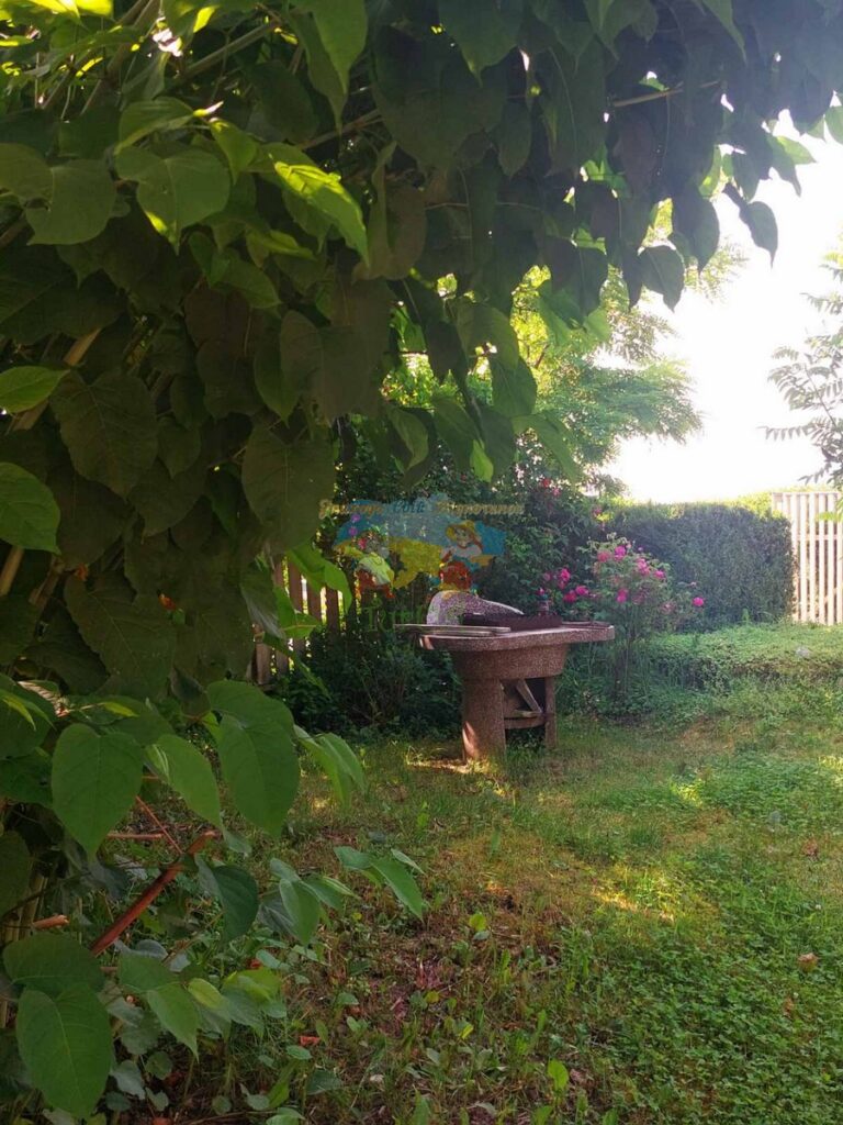 Котеджі Барбара Солотвино