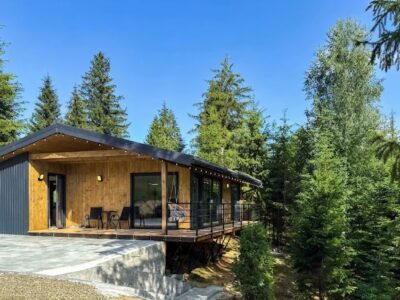 Будиночок «Hill house» Верховина