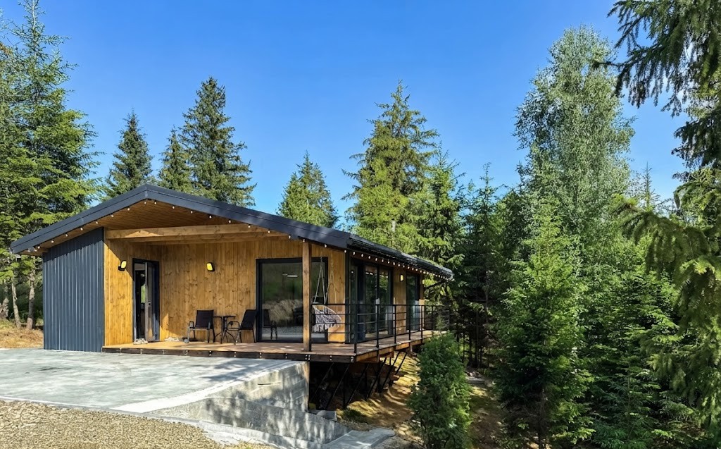 Будиночок «Hill house» Верховина