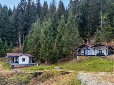 Будиночок «Квітка життя» Верховина