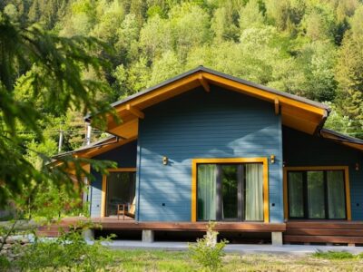 Будинок «Blue House» Криворівня