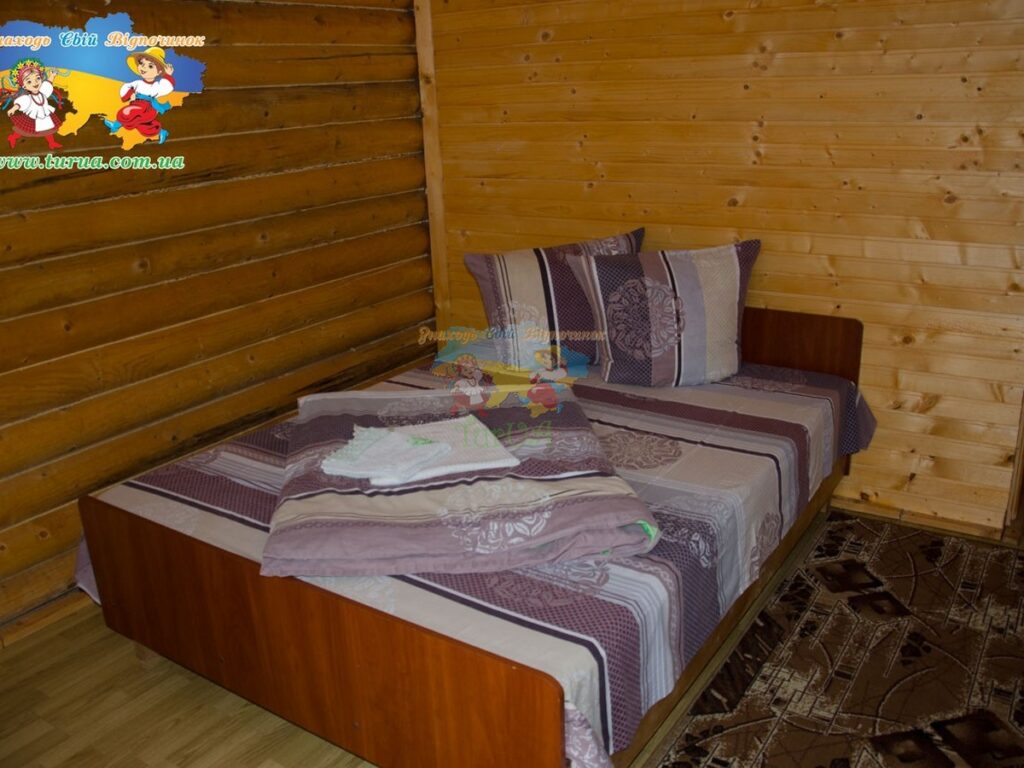 Дача Тиса Солотвино