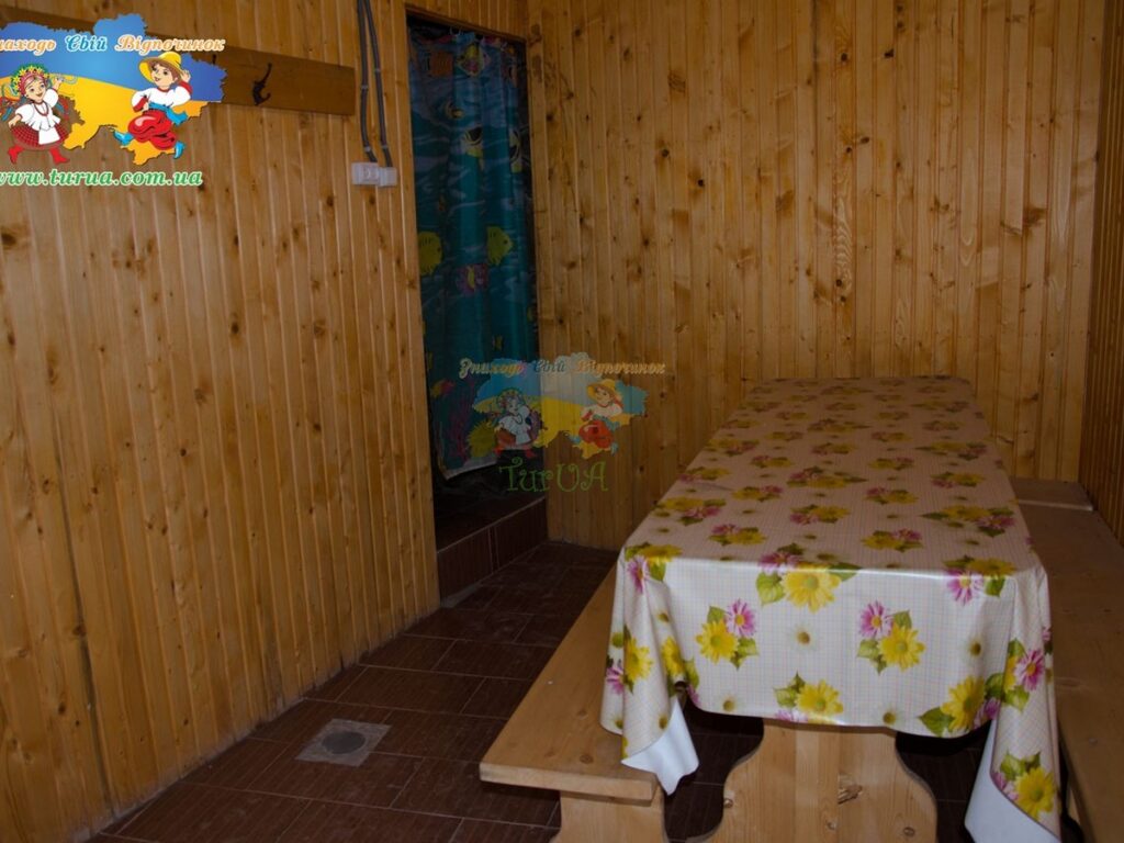 Дача Тиса Солотвино