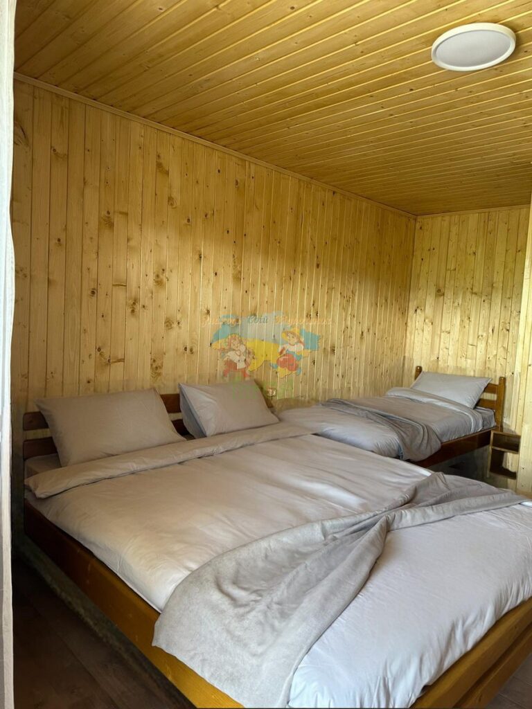 База відпочинку Дана Солотвино