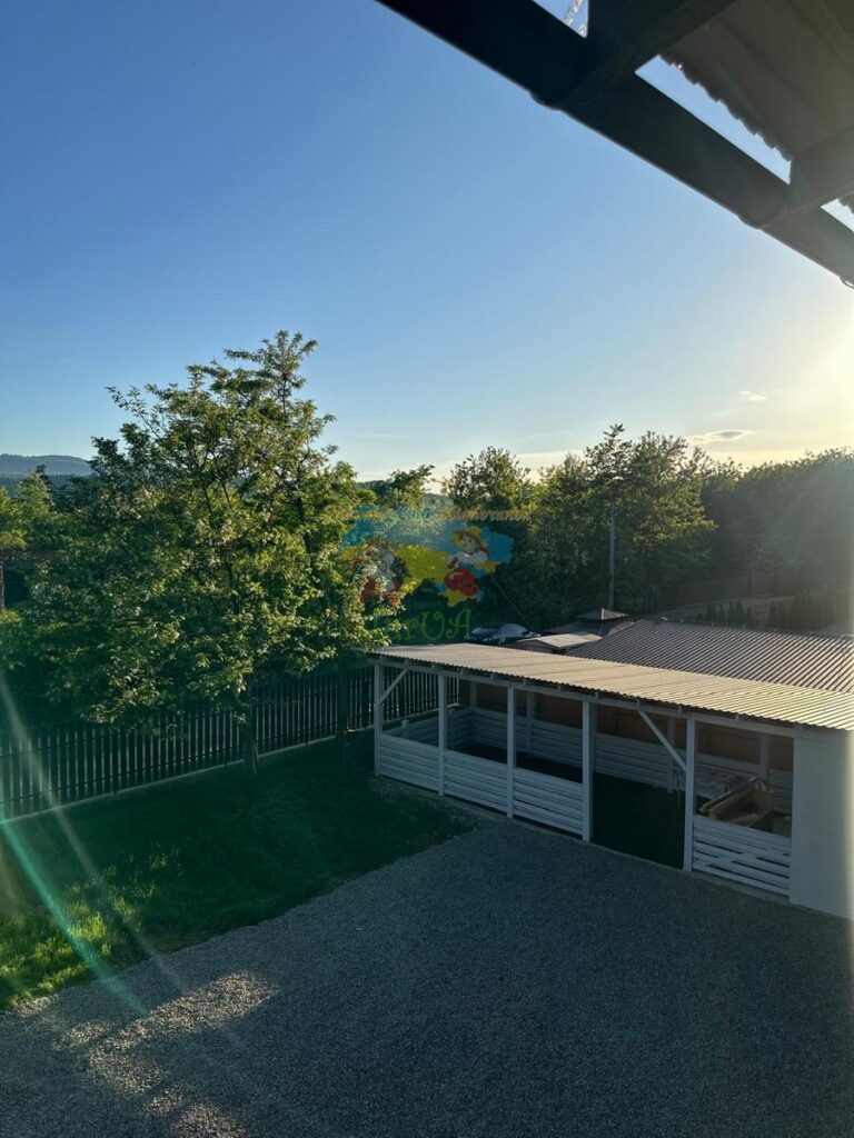 База відпочинку Дана Солотвино