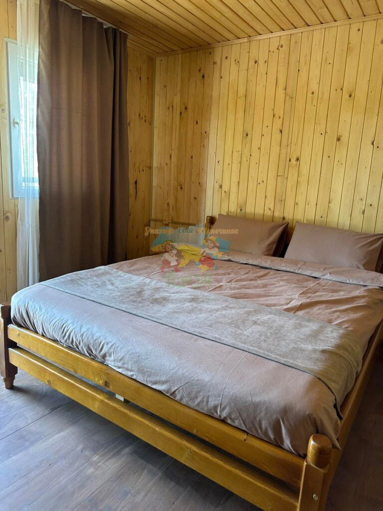 База відпочинку Дана Солотвино