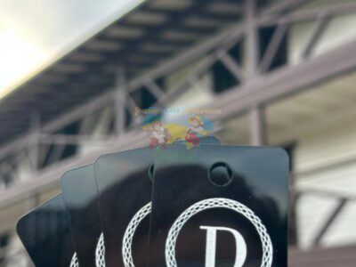 База відпочинку Дана Солотвино