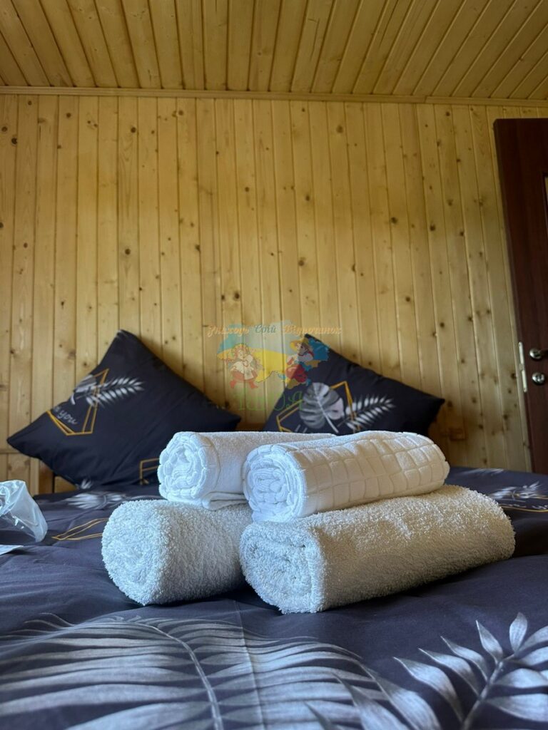 База відпочинку Дана Солотвино