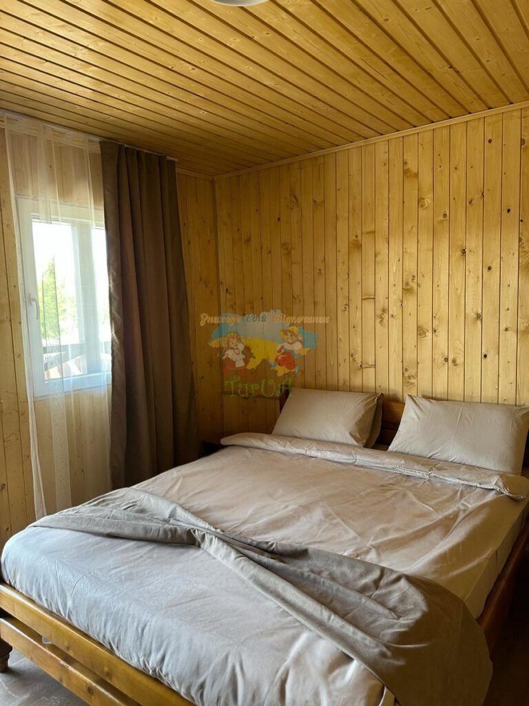 База відпочинку Дана Солотвино