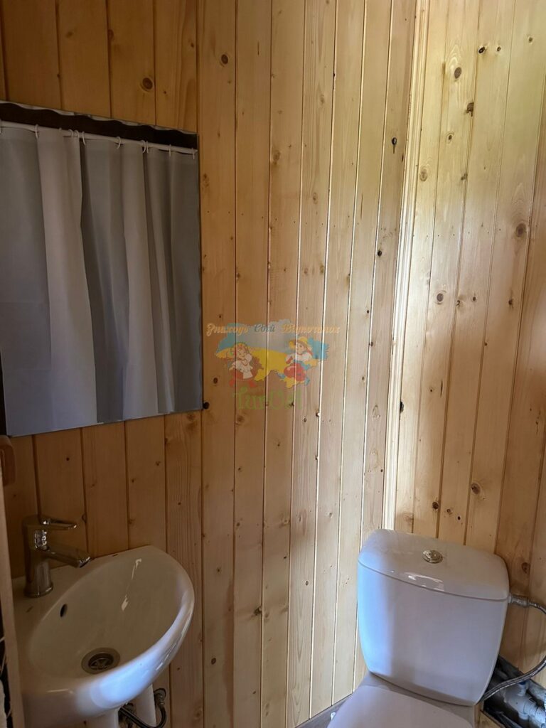 База відпочинку Дана Солотвино