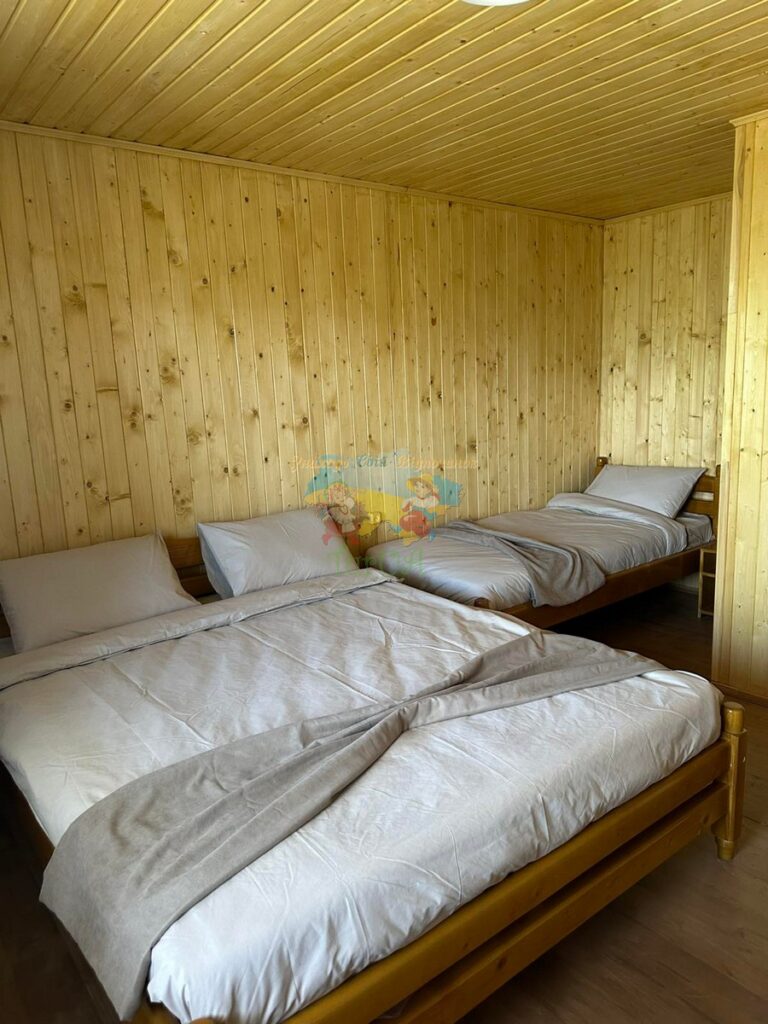 База відпочинку Дана Солотвино