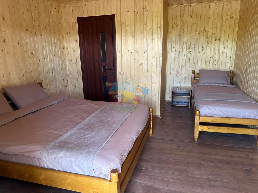 База відпочинку Дана Солотвино