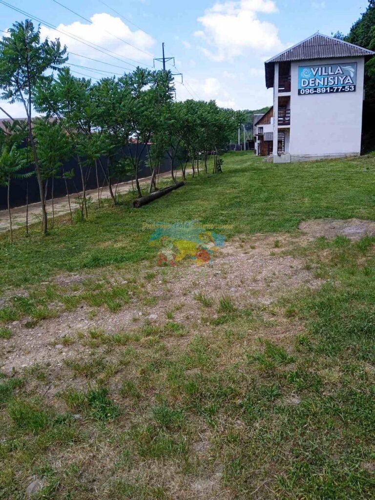 База відпочинку Villa Denisiya Солотвино
