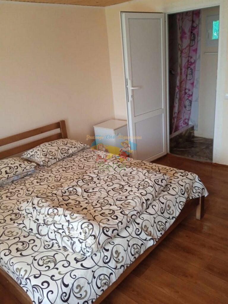 База відпочинку Villa Denisiya Солотвино