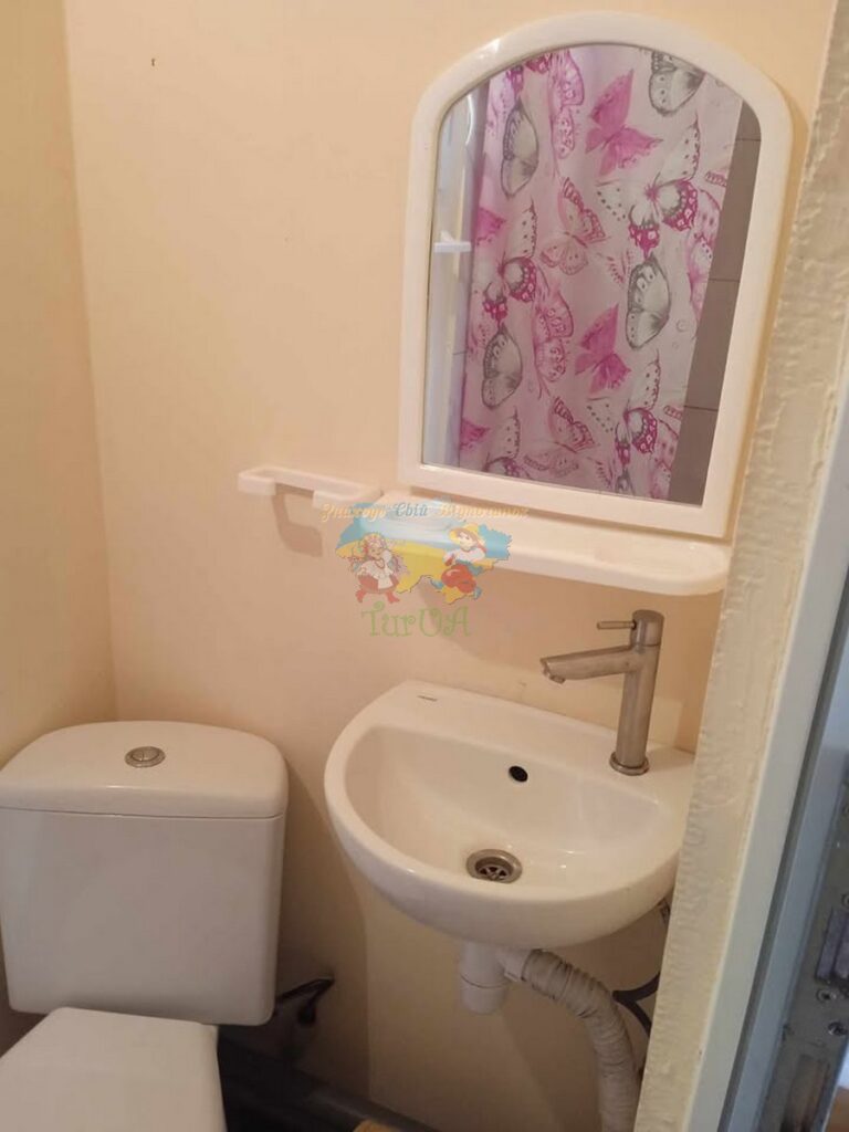 База відпочинку Villa Denisiya Солотвино