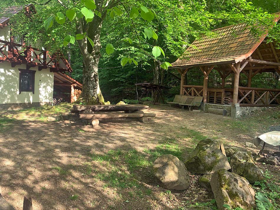 Садиба Джерело під лісом Синяк
