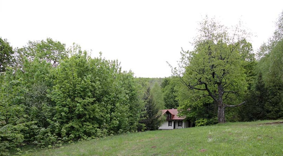 Садиба Джерело під лісом Синяк