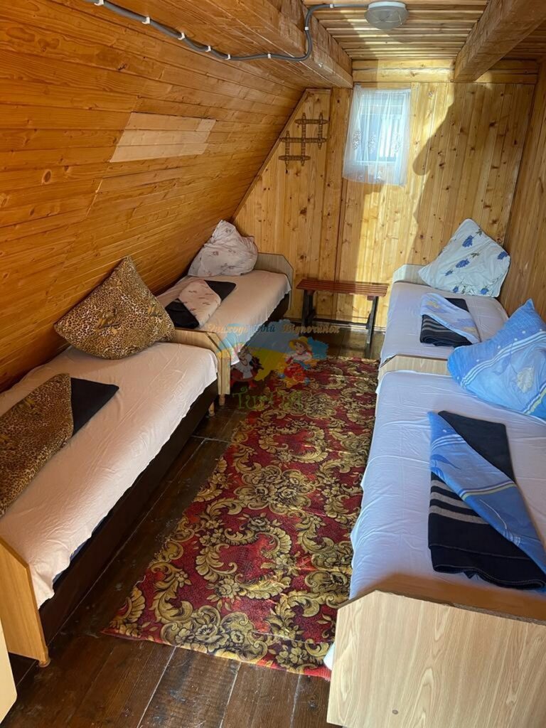 База відпочинку Едельвейс Солотвино