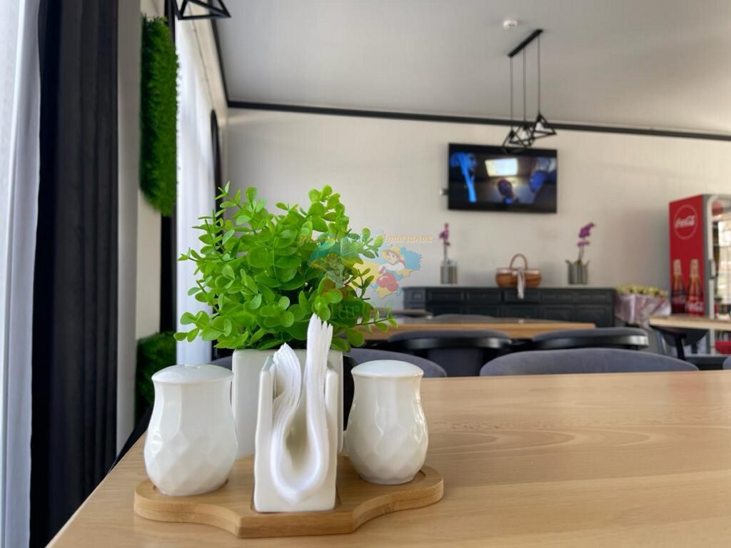 База відпочинку Едельвейс Солотвино