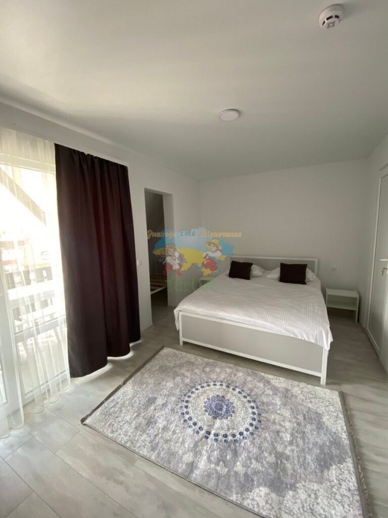 База відпочинку Едельвейс Солотвино