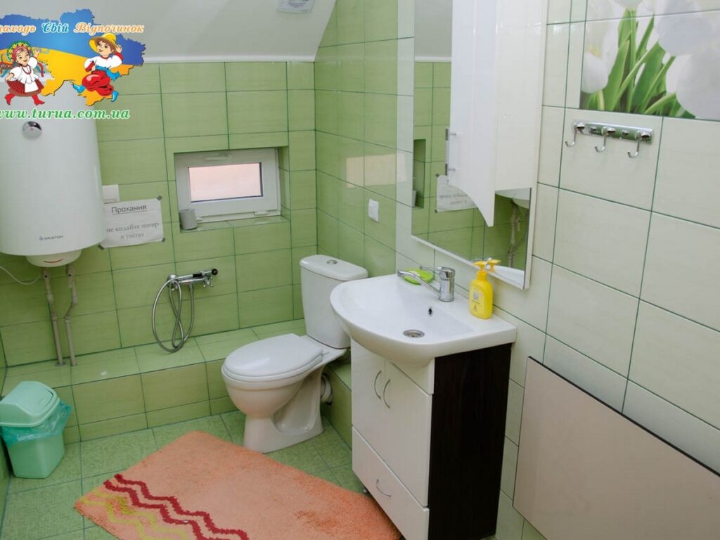 Садиба «ЕКО-ДІМ» Косонь