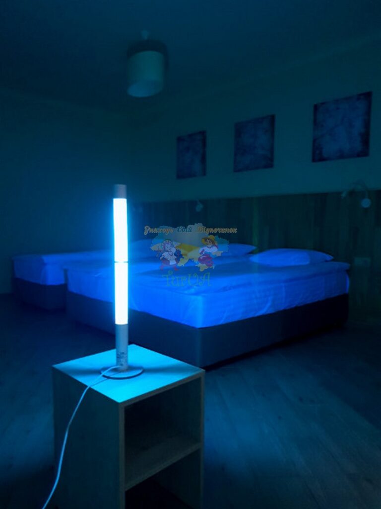 Гостьовий будинок Villa Grey House Берегово