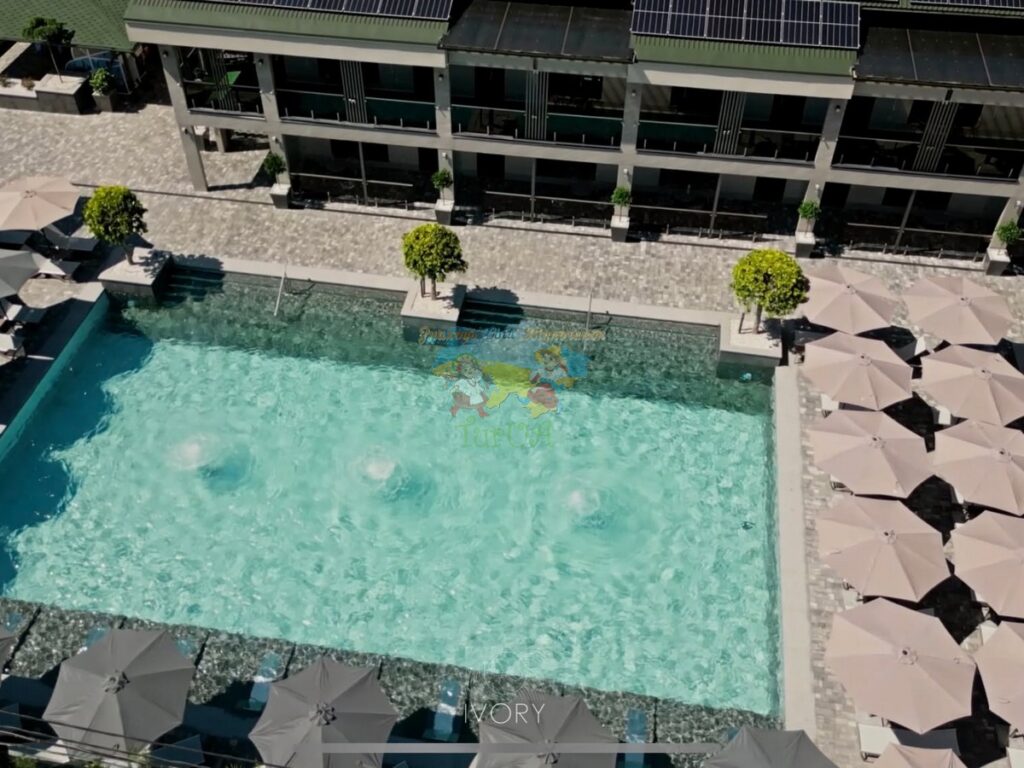 Ivory Resort and Spa Виноградів