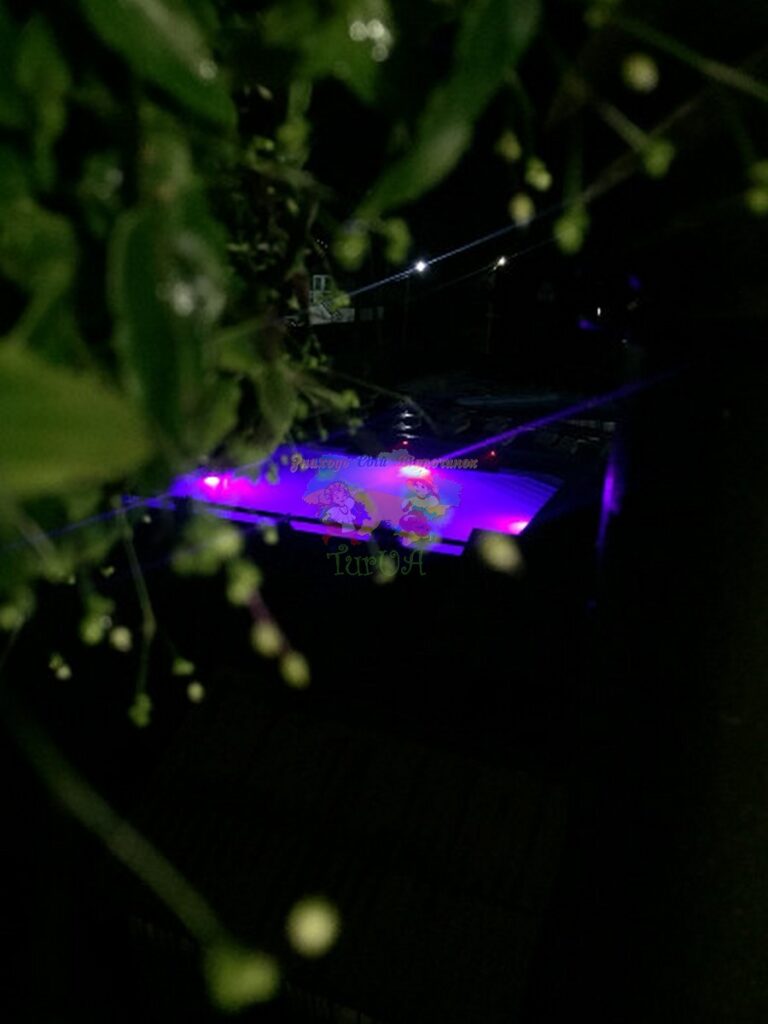 База відпочинку Кароліна Солотвино