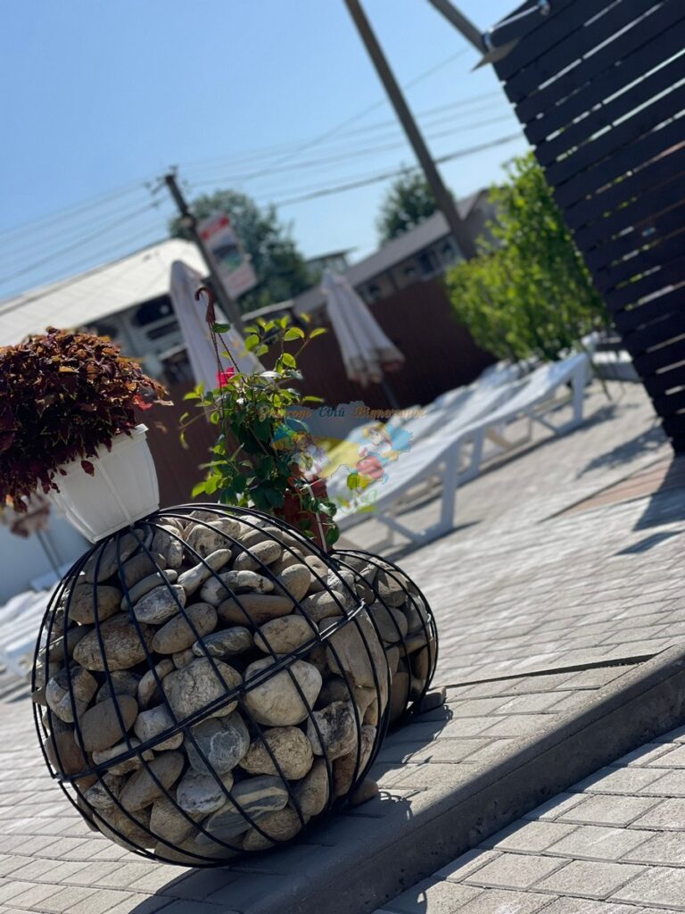 База відпочинку Кароліна Солотвино