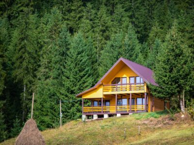 Котедж «Forest house» Верховина