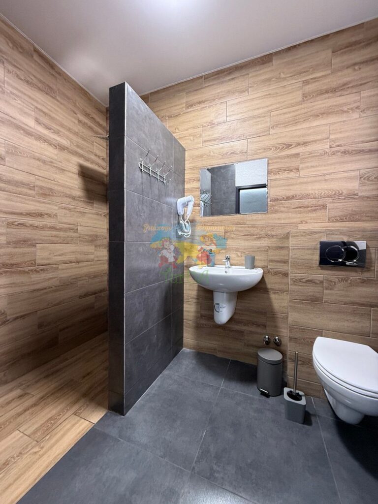 Готель Лофт Солотвино