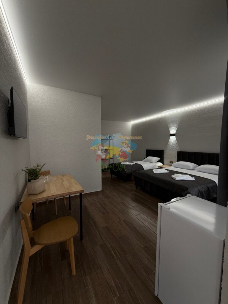 Готель Лофт Солотвино