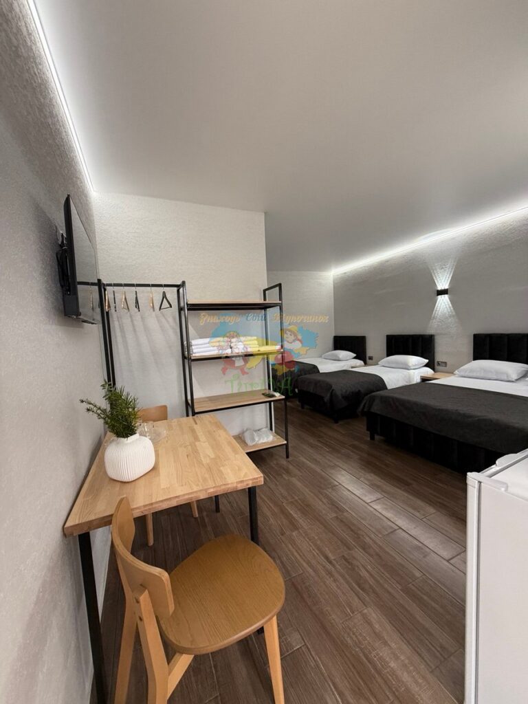 Готель Лофт Солотвино