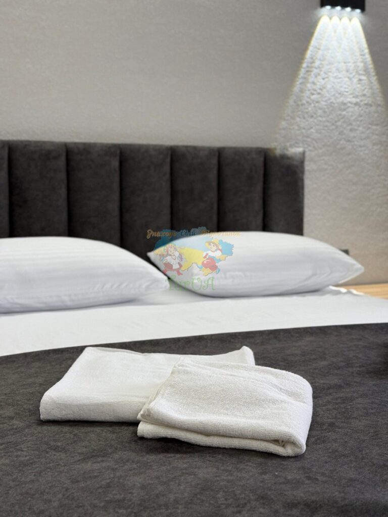 Готель Лофт Солотвино