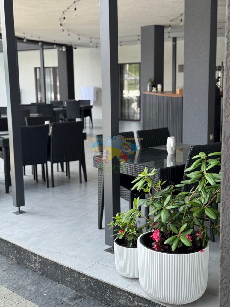 База відпочинку Лотус Солотвино