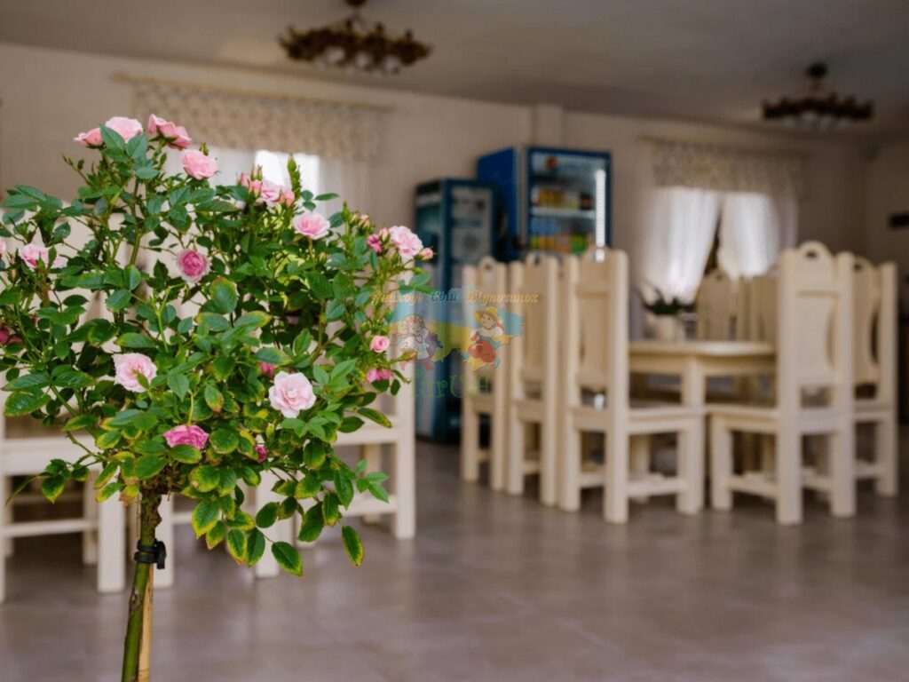 Вілла Маріна Солотвино