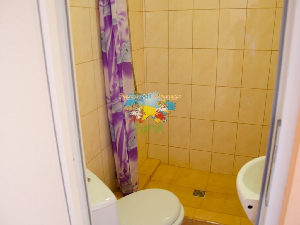 Приватний будинок Солотвино Мілена