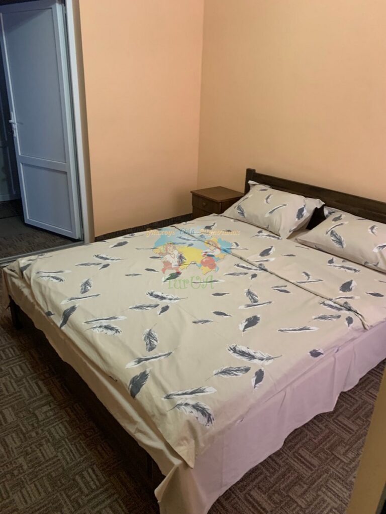 Приватний будинок Солотвино Мілена