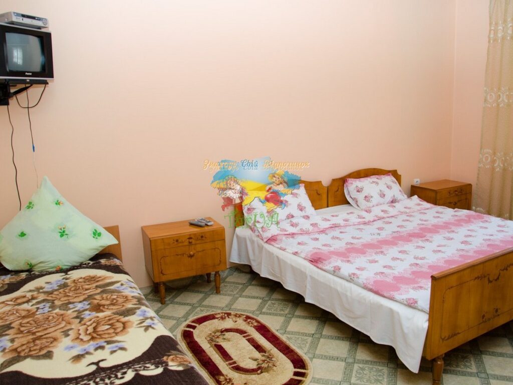 Приватний будинок Солотвино Мілена