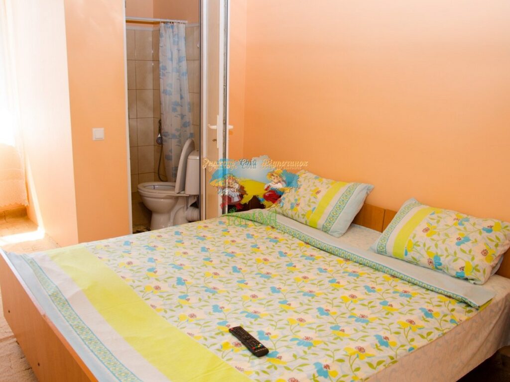 Приватний будинок Солотвино Мілена