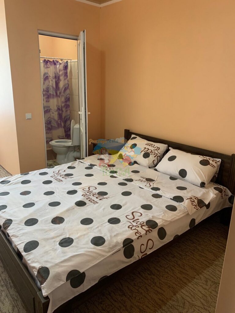 Приватний будинок Солотвино Мілена