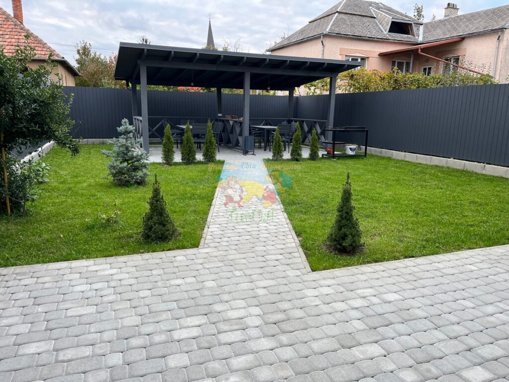 Вілла Карта Берегово